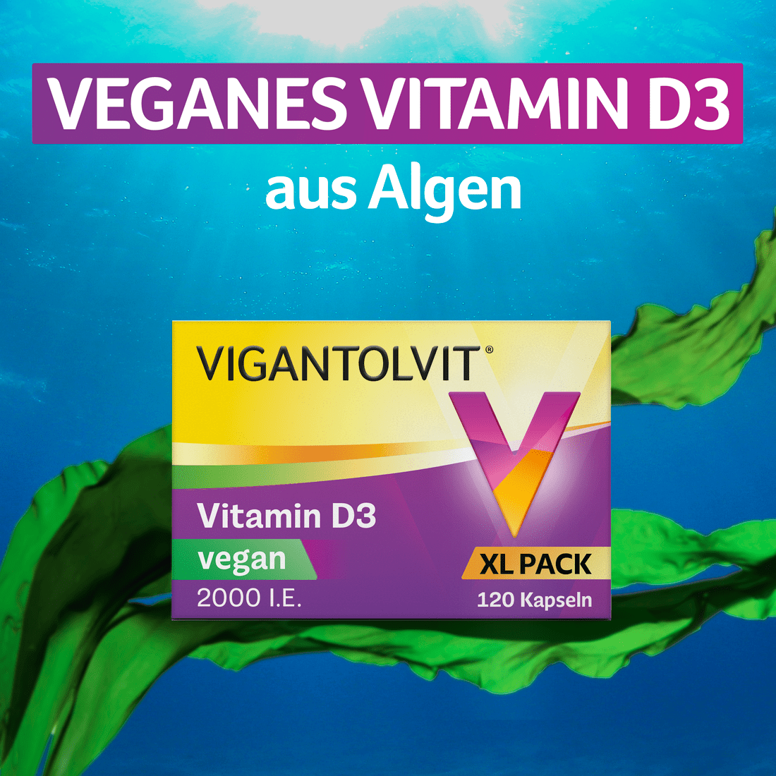 VIGANTOLVIT Vitamin D Vegan3