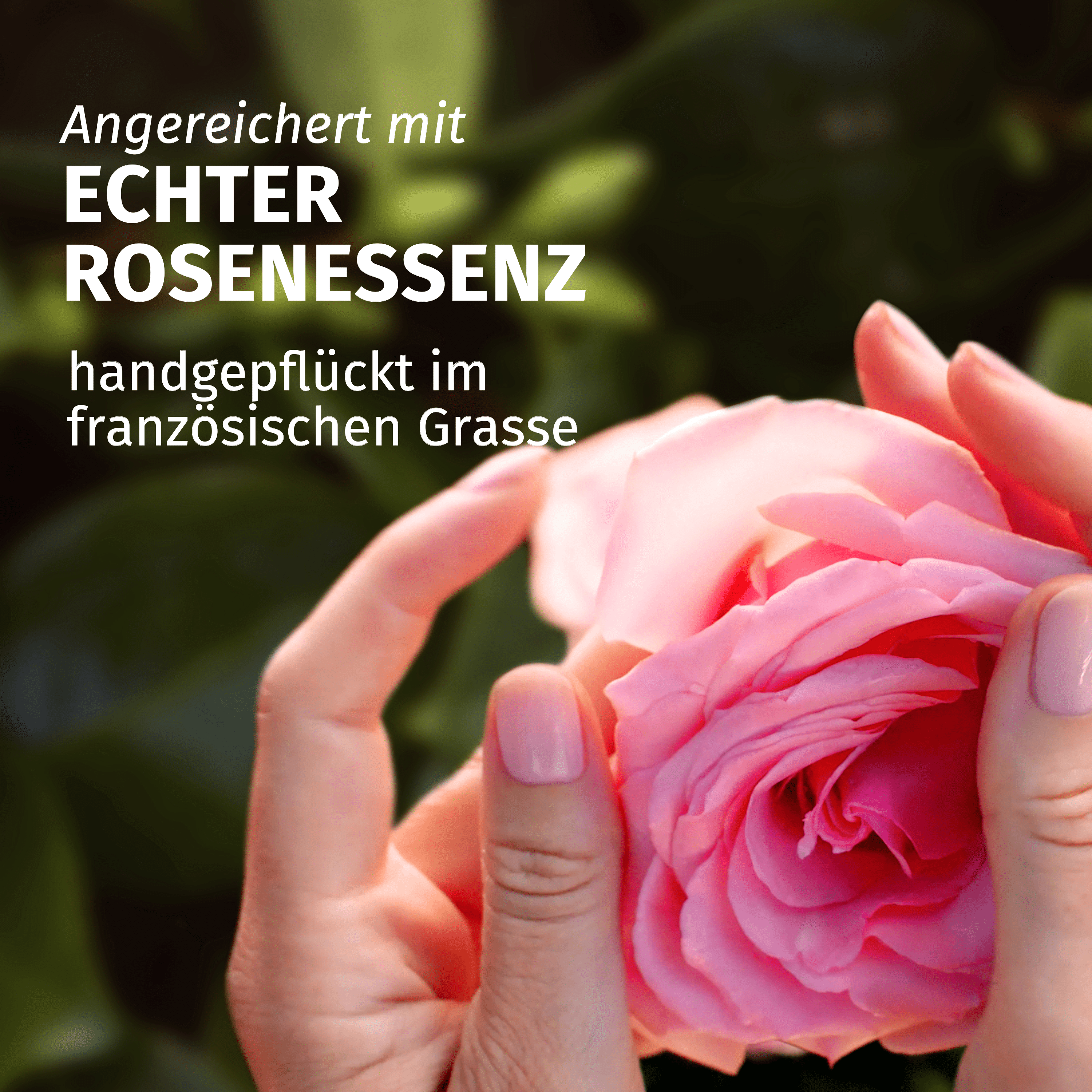 Angereichert mit echter Rosenessenz, handgepflückt im französischen Grasse