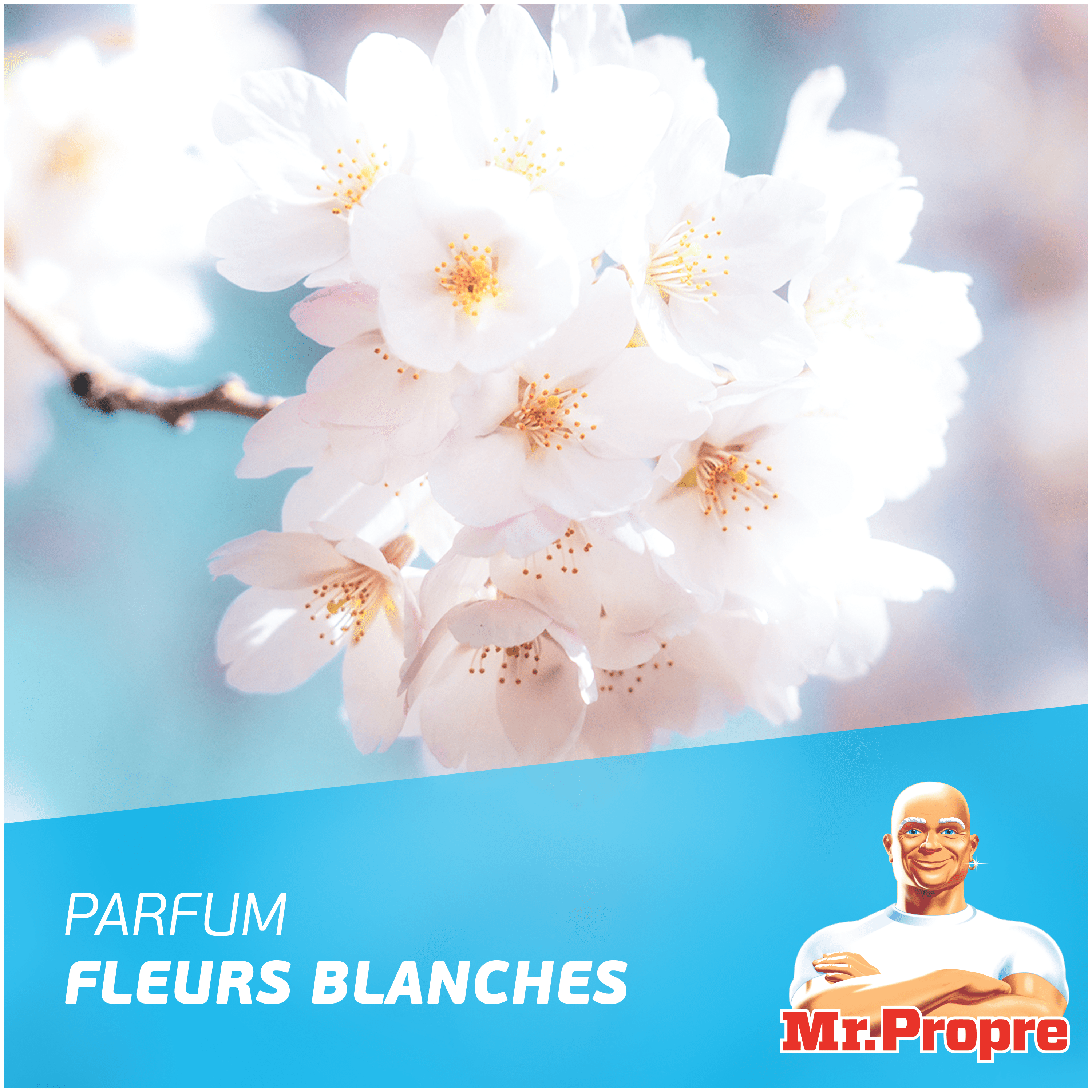 Parfum fleurs blanche
