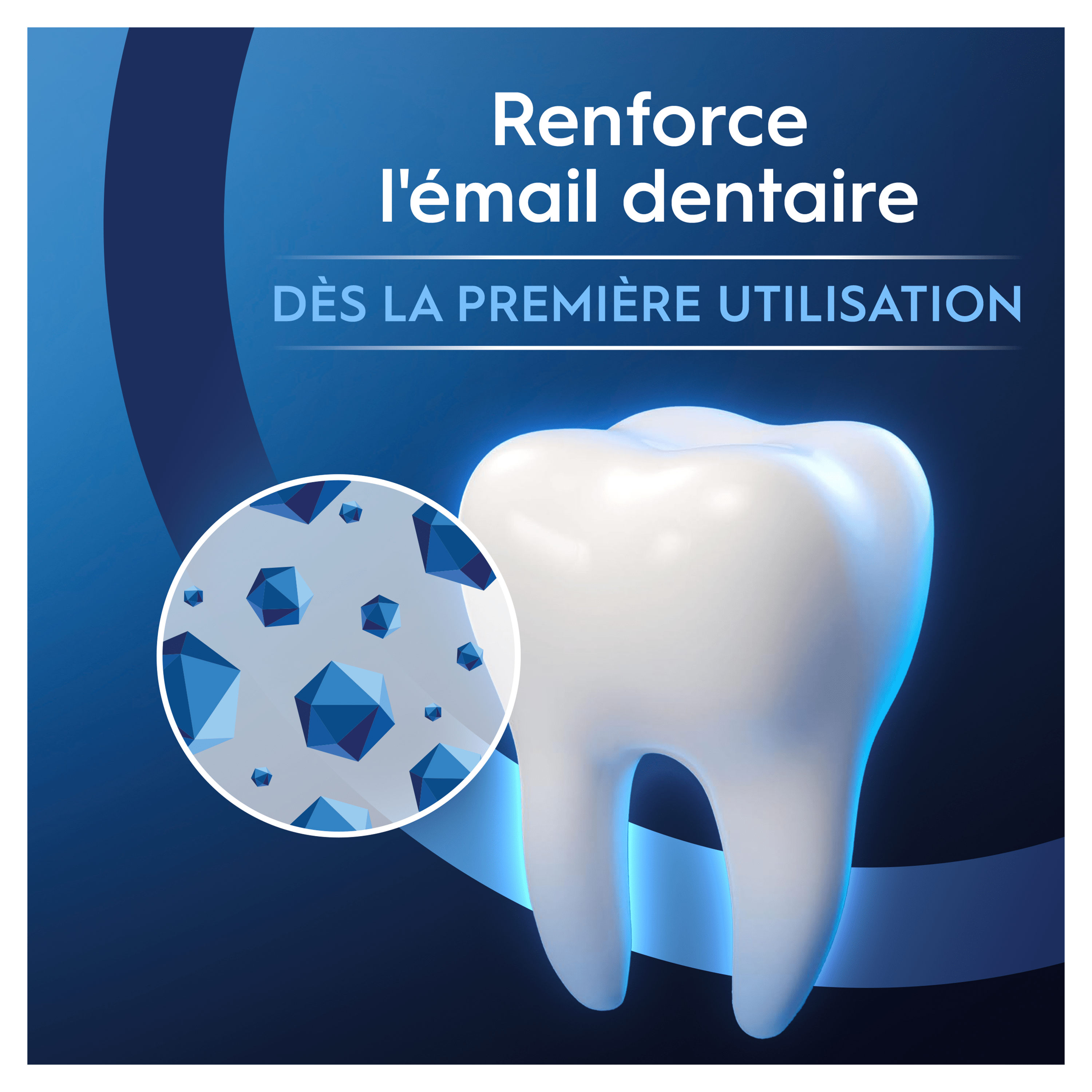 Renforce l'émail dentaire dès la première utilisation