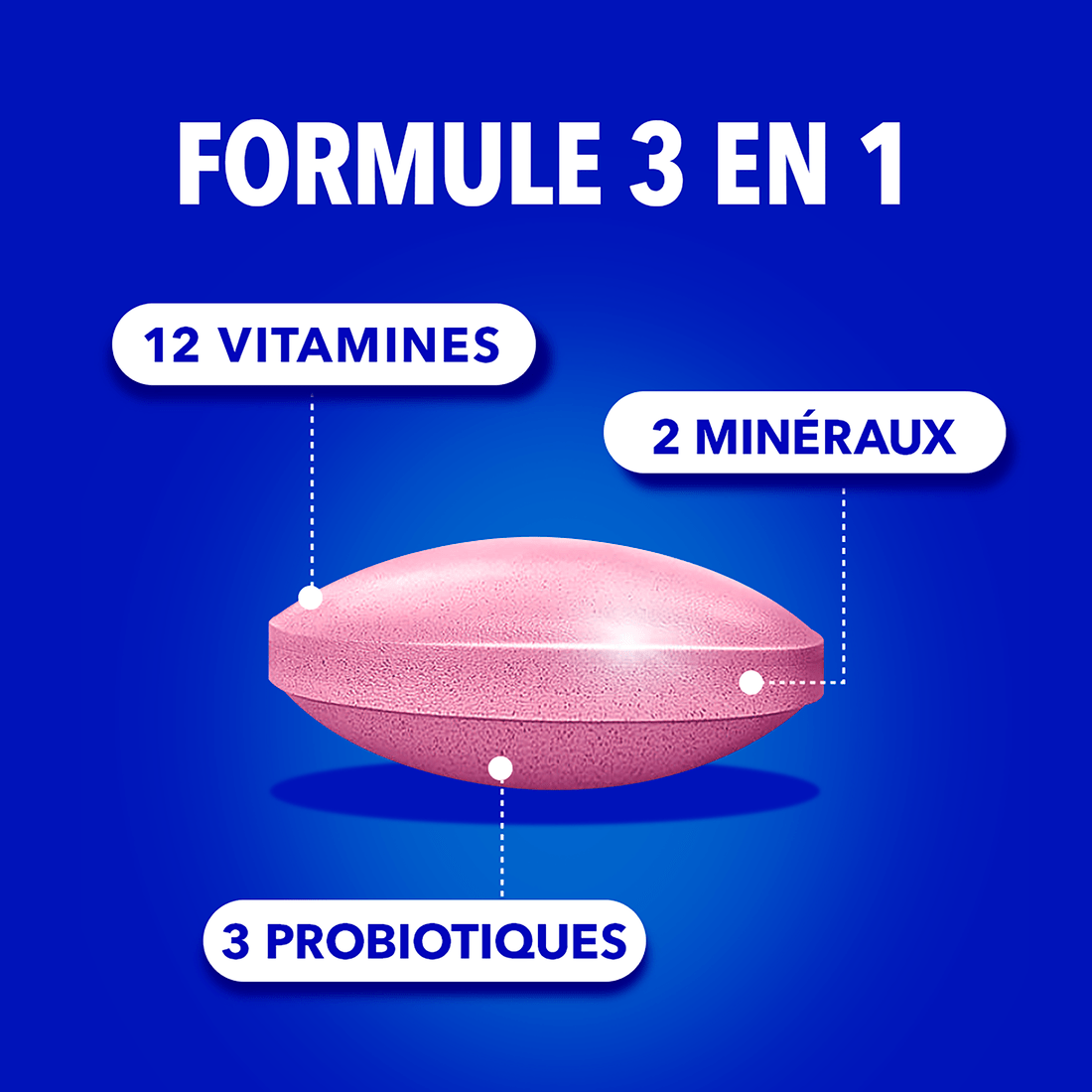 Formule 3 en 1 : 12 vitamines, 2 minéraux, 3 probiotiques