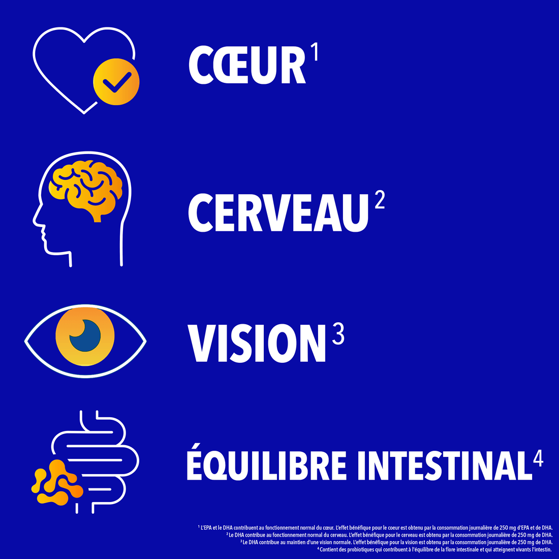 Coeur, cerveau, vision, équilibre intestinal