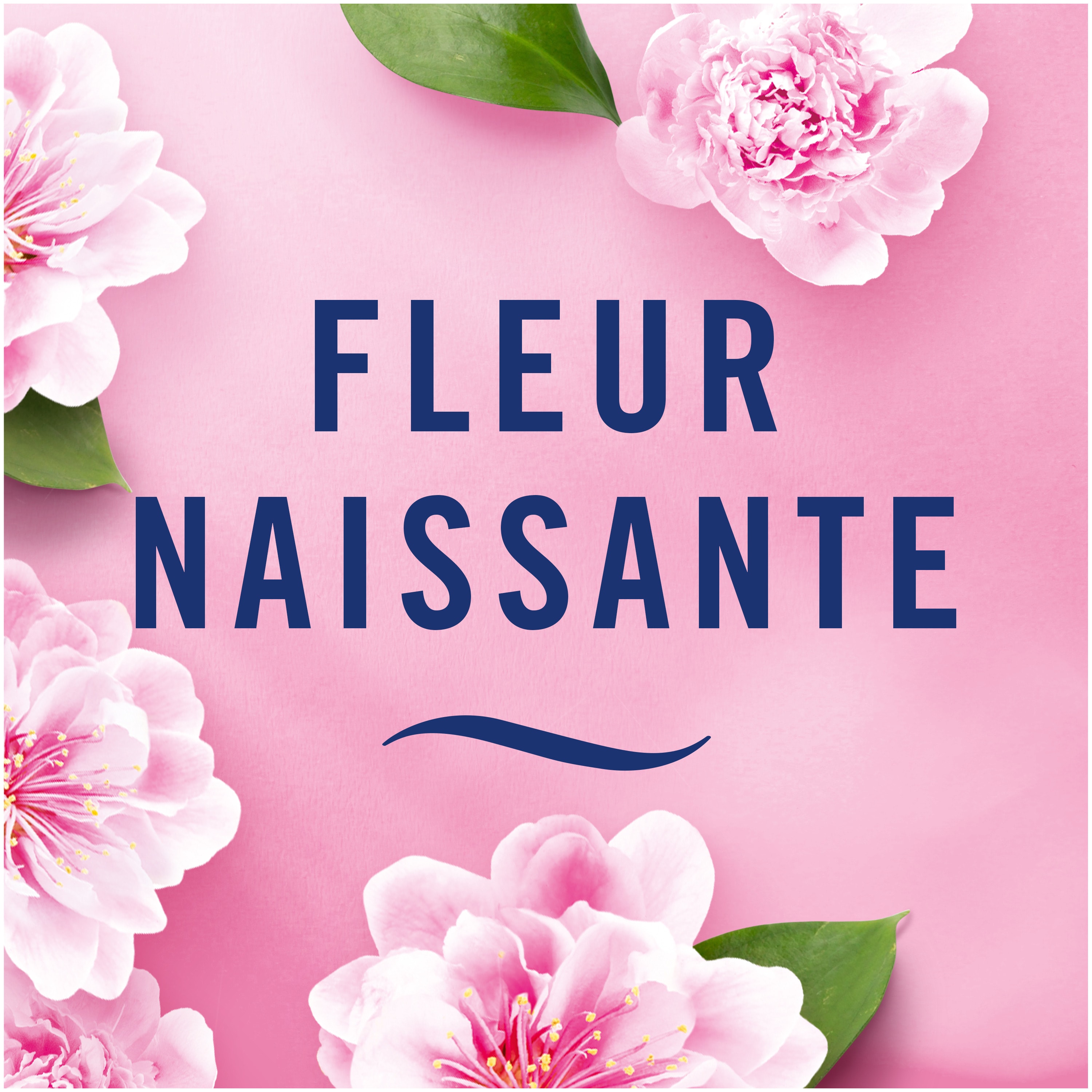 Fleur Naissante