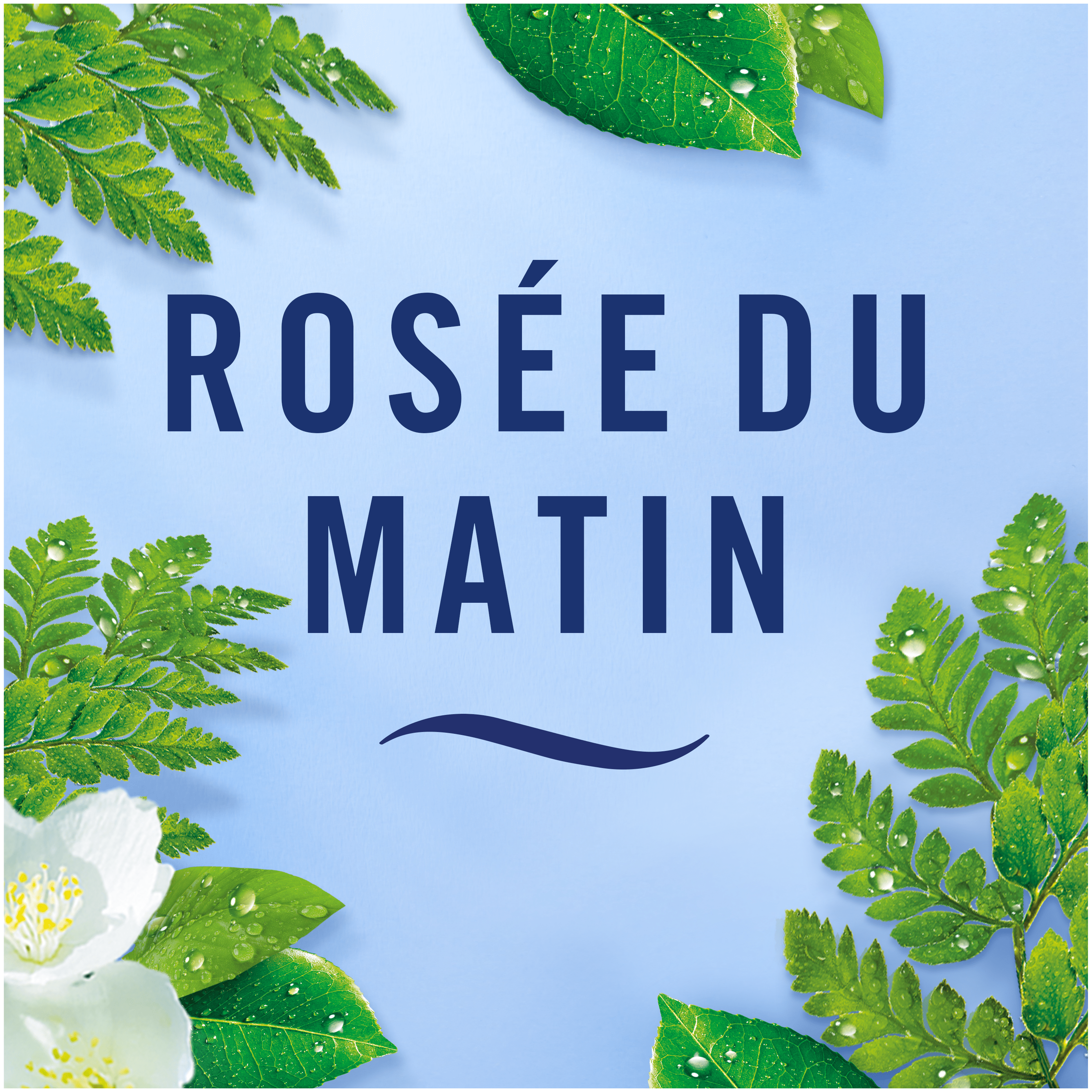 Rosée du Matin