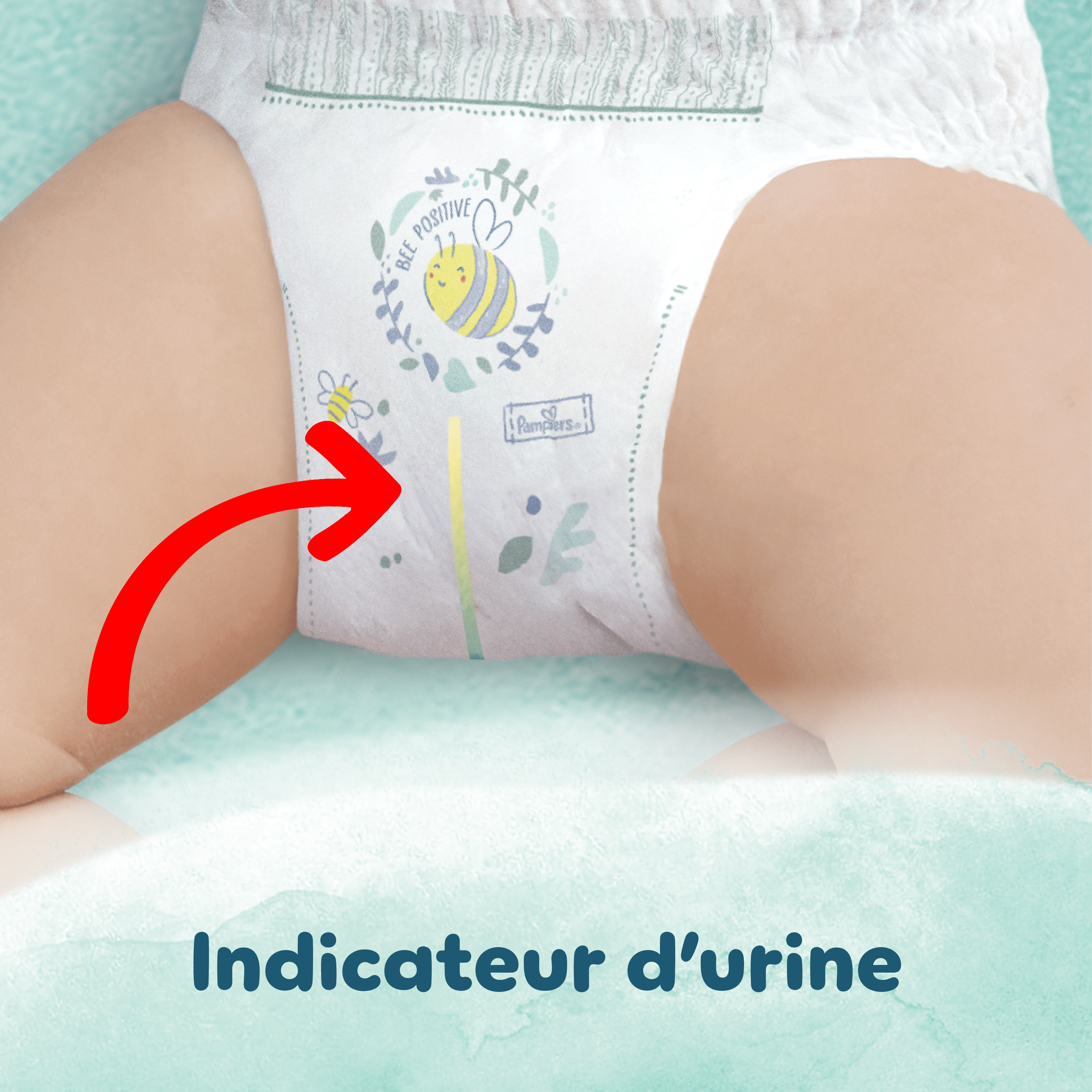  Pampers Harmonie Taped