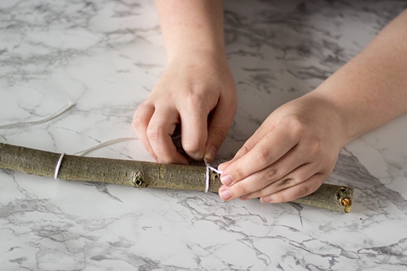 Des petites cordelettes sont nouées sur une branche