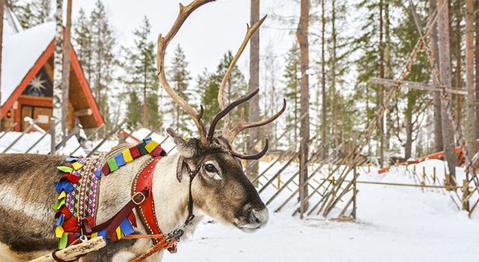 Weihnachten in aller Welt