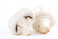 champignons de paris