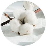 cotton icon 2