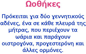 Ωοθήκες