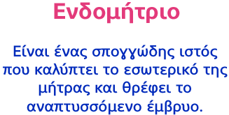 Ενδομήτριο