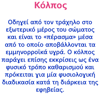 Κόλπος