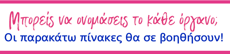 Μπορείς να ονομάσεις το κάθε όργανο; Οι παρακάτω πίνακες θα σε βοηθήσουν!