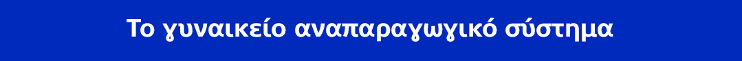 Το γυναικείο αναπαραγωγικό σύστημα