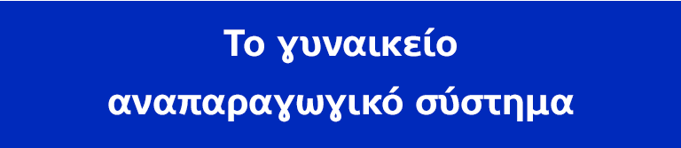Το γυναικείο αναπαραγωγικό σύστημα