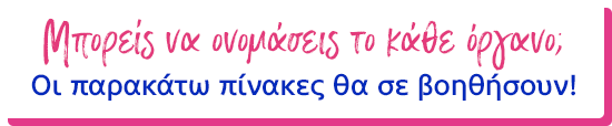 Μπορείς να ονομάσεις το κάθε όργανο; Οι παρακάτω πίνακες θα σε βοηθήσουν!