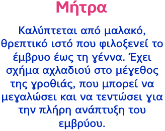 Μήτρα