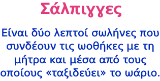 Σάλπιγγες