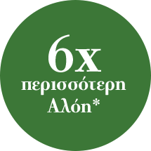 6Χ Αλόη