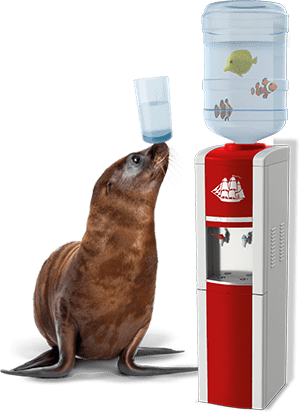 Old spice seal