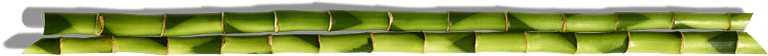 bamboo