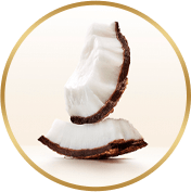 coconut