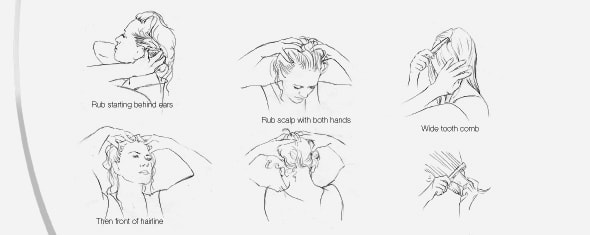 head-and-shoulders 2