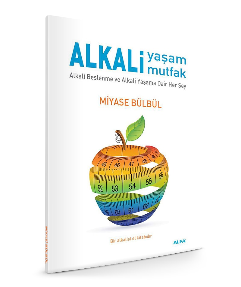 miyase bülbül kitap