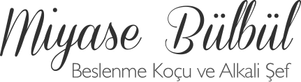 miyase bülbül logo